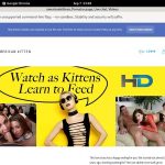 Americankittens Free Videos