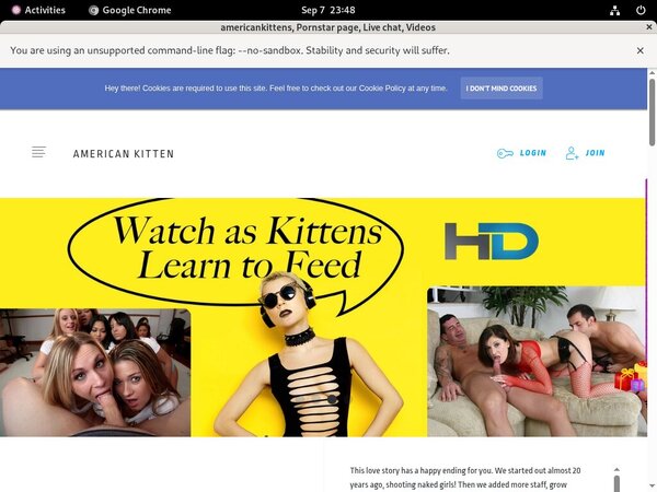 Americankittens Free Videos