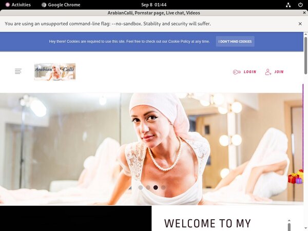 Arabiancalli.modelcentro.com ????