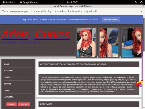 Ariel Payment Options