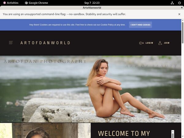 Artofdanworld Office