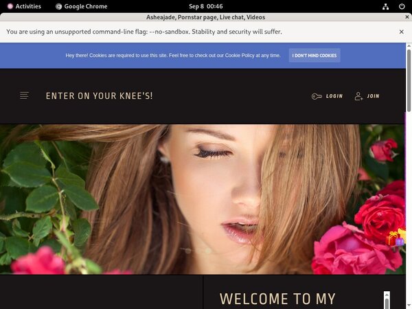 Asheajade Web Billing
