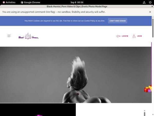 B L A C K - H O R N I S Coupon