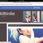 Baddbirdie.modelcentro.com Cc Bill
