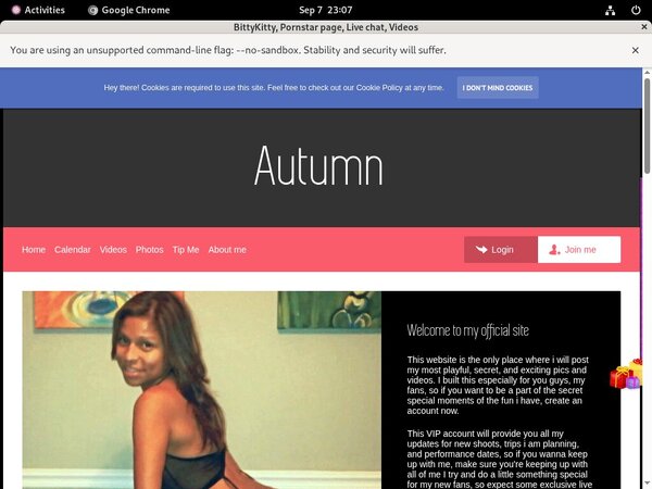 BittyKitty Telephone Billing