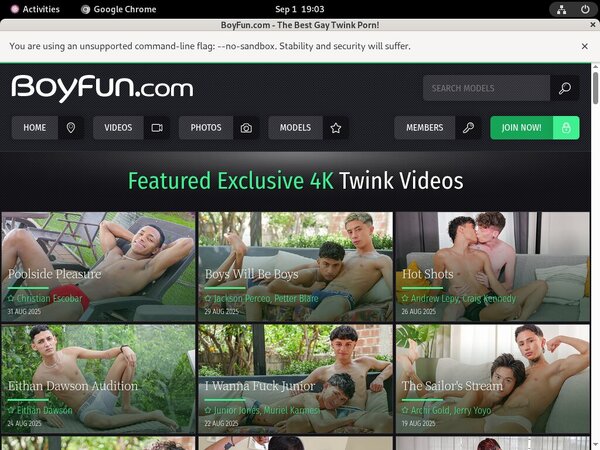 Boy Fun Xxx Passwords