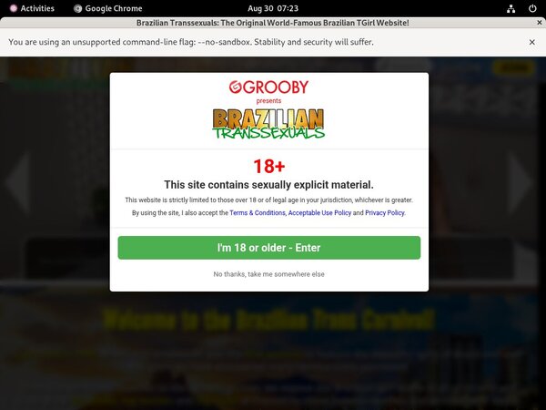 Braziliantranssexuals Fuck