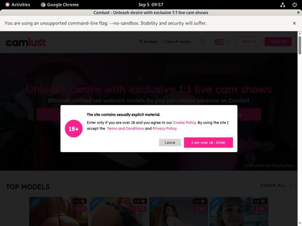 Cam Lust Account 2014