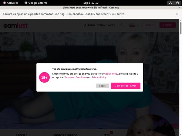 Camlust.com With Webbilling.com