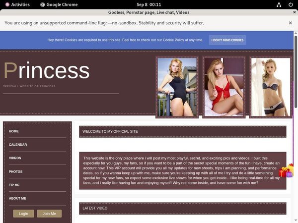 Cardboard.modelcentro.com Download
