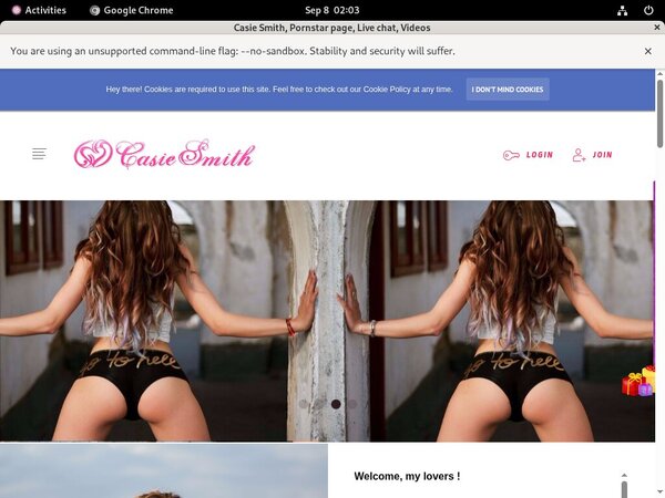 Casiesmith.modelcentro.com Update