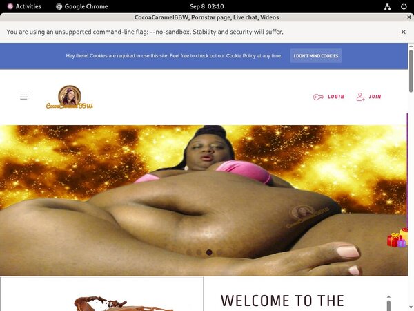 CocoaCaramelBBW Passwords 2017