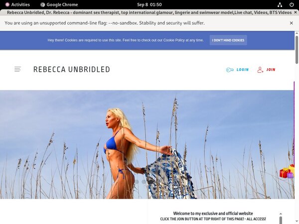 Discount Rebecca  Unbridled Deal