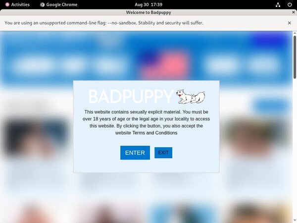 Free Badpuppy.com Account Logins