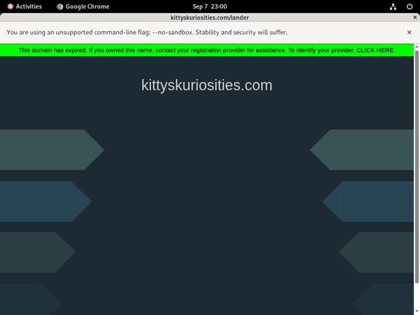 Free Kitty's Kuriosities Account Passwords