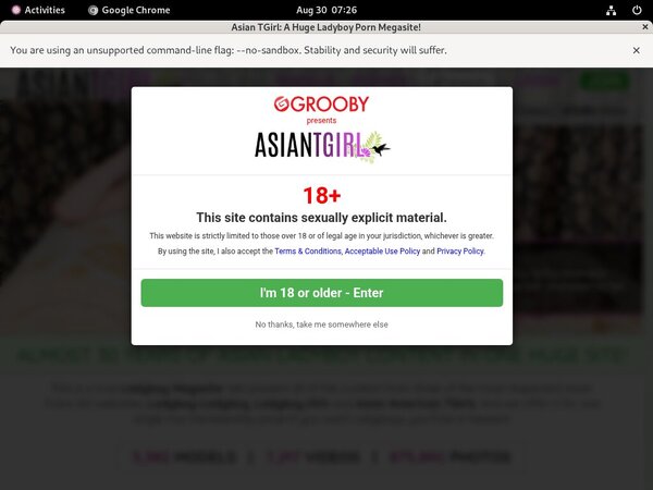 Free Ladyboy-ladyboy.com Username And Pass
