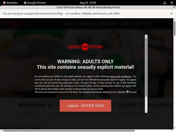Free Working Czechvrfetish.com Logins