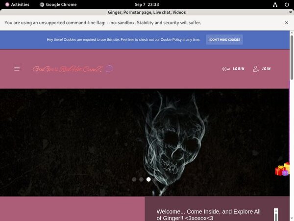 Gingersxxx.modelcentro.com Telephone Billing