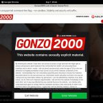 Gonzo 2000 Payment Methods