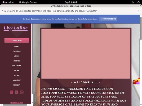 How To Get A Free Livylarue.modelcentro.com Account