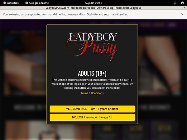 Ladyboy Pussy Acc