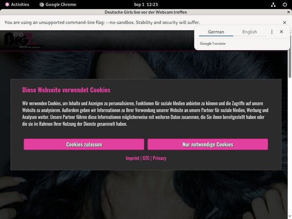 Lanagiselle.tv Registration Form