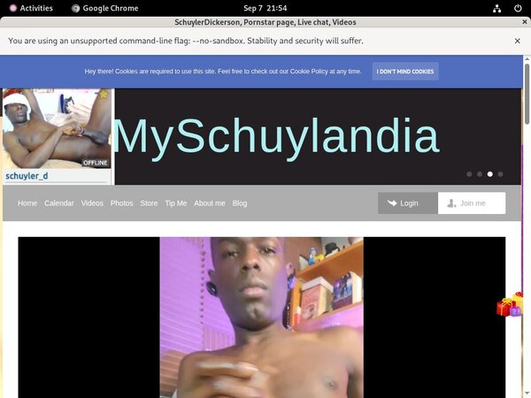 Myschuylandia.com Accounts Daily