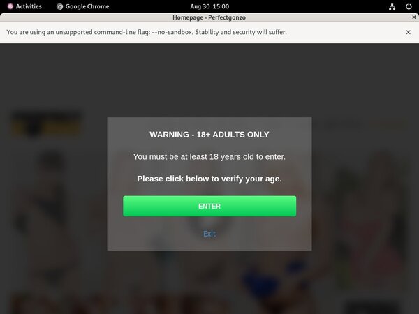 Perfect Gonzo Free Password