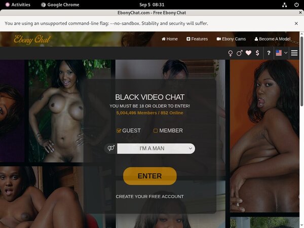 Premium Ebony Chat Site Rip
