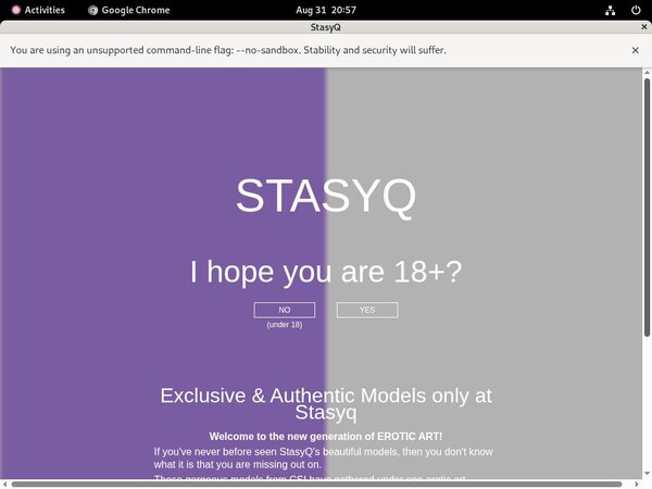 Premium Stasyq.com Pass Premium Stasyq.com Pass