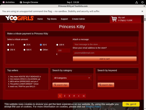 [Image: Princess-Kitty-Id-Password.jpg]