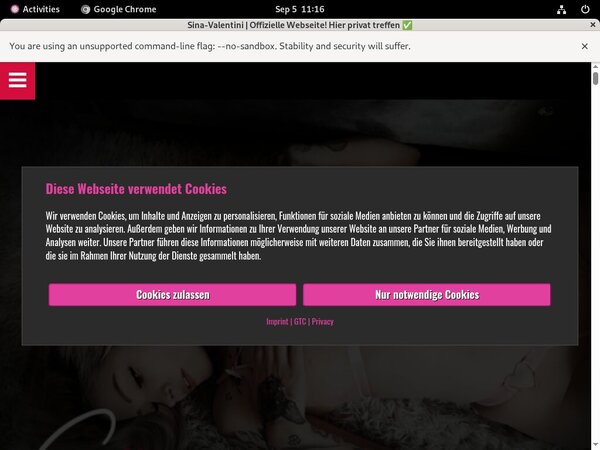 Register Sina-valentini.de