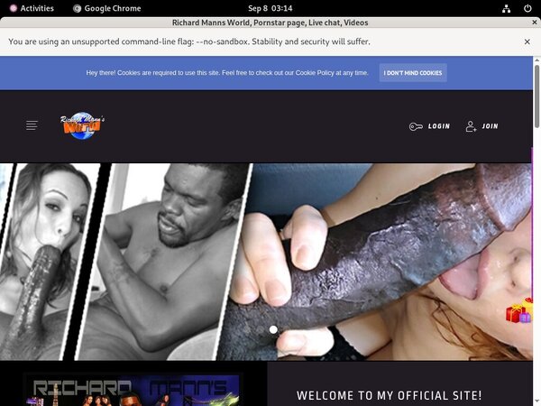 Richard Manns World Stolen Password