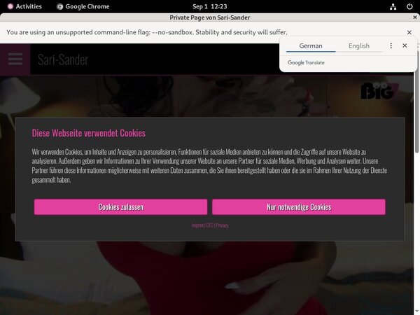 Sari Sander Reduced Price