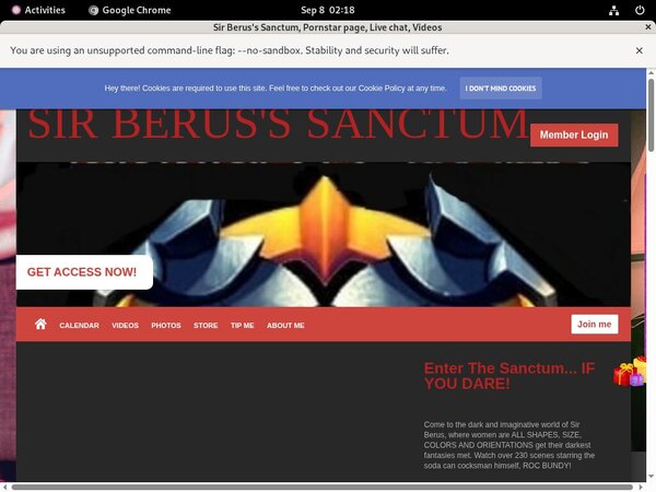Sir Berus's Sanctum Discount Vendo