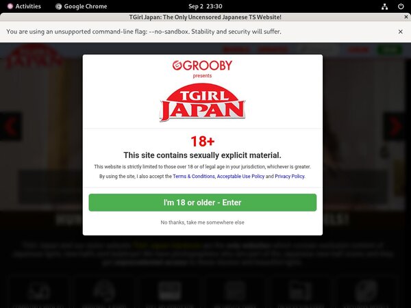 TGirl Japan Password Hack