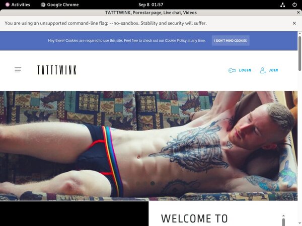 Tatttwink.com Pago