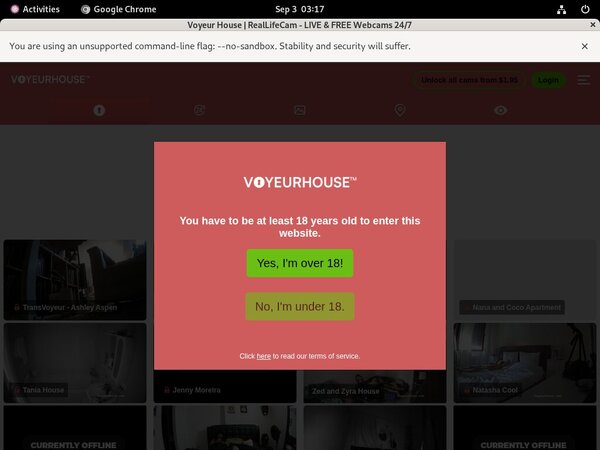 Voyeur House Telephone Billing