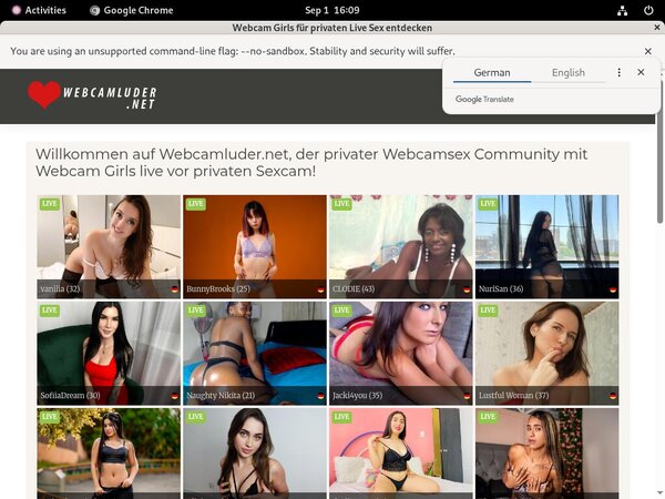 Webcamluder Bank Payment