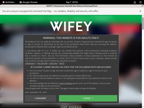 Wifey Free Users