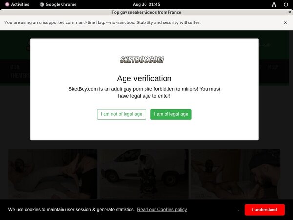 Sketboy.com Fresh Passwords