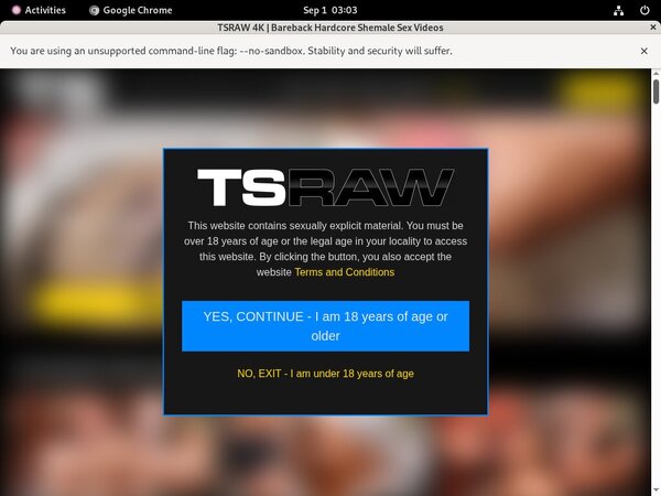 Tsraw.com Gxplugin (IBAN/BIC)