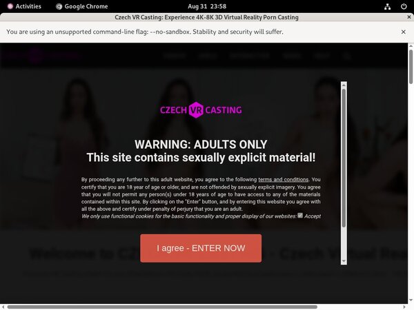 Czech VR Casting Imagepost