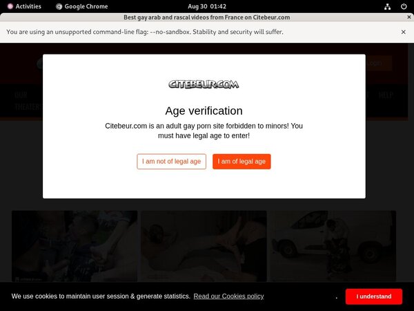 Free Passwords For Citebeur